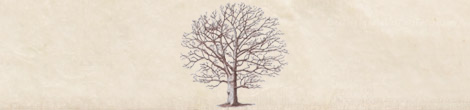 www.genea.be